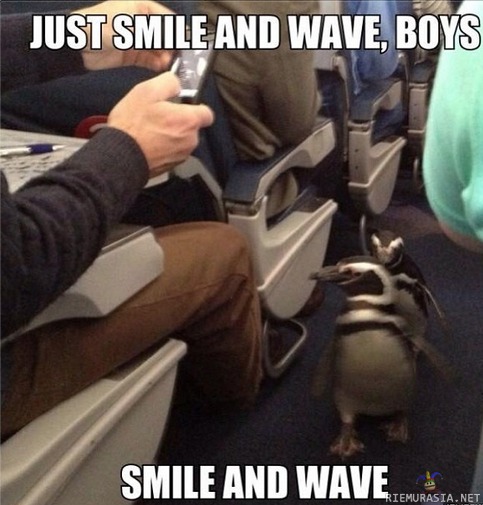 smile and wave boys