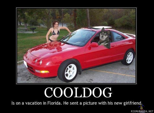 Cooldog
