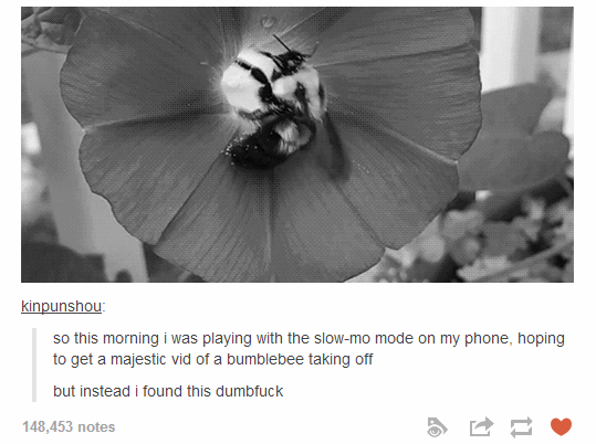 Majesteettinen mehiläinen