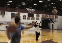 Pandalle pallo