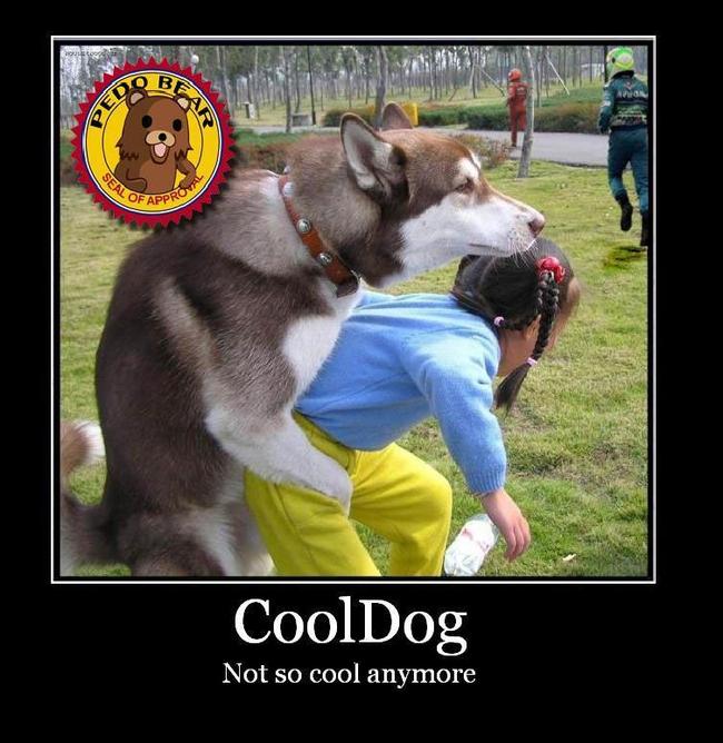 CoolDog - Not so cool anymore