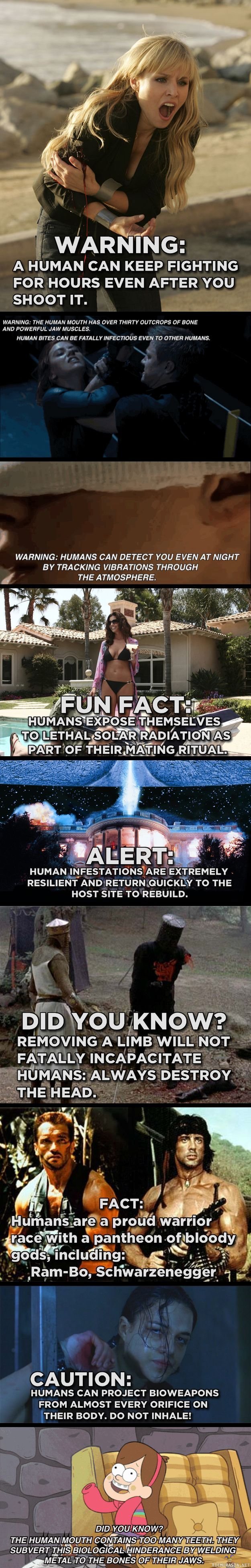 Aliens guide to humans