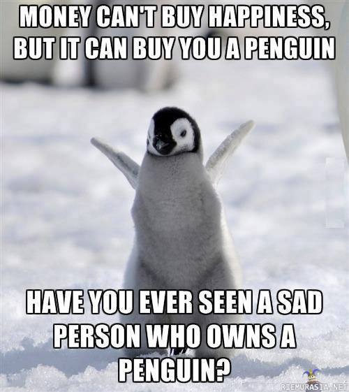Pingviini - Kuka sanoikaan ettei rahalla saa onnea?