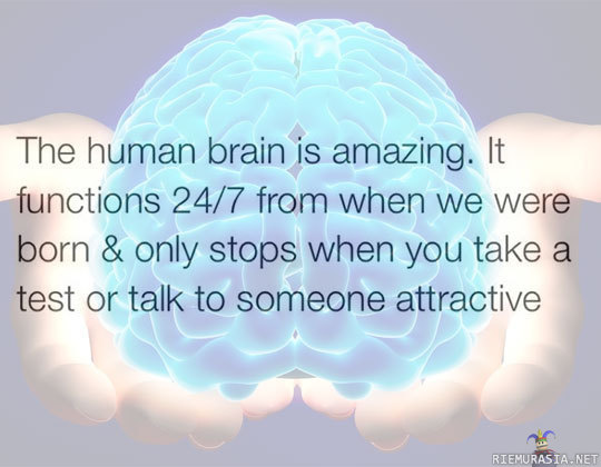 Ihmisaivojen toiminta - Aivot ovat merkillinen elin