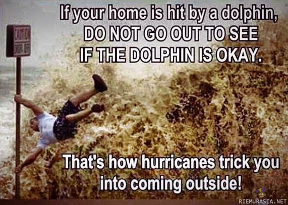 Jos taloosi osuu delfiini - älä mene katsomaan onko se kunnossa, hurrikaanit huijaavat ihmisiä tulemaan ulos tällä tavalla