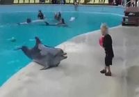Pikkupoika ja delfiini pelaa pallon kanssa