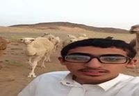 Kameli ei arvosta selfietä (ÄÄNIVAROITUS)