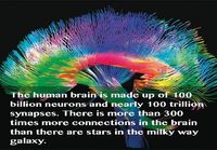 Neuronien määrä aivoissa