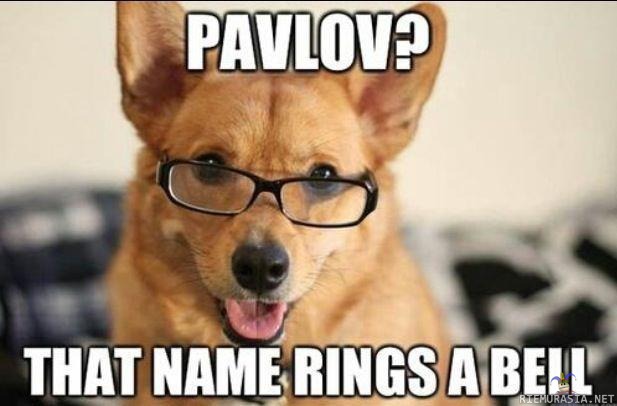 Pavlovin koirat