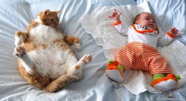 Vauva ja kissa - Vauva näyttää mallia, tai toisinpäin