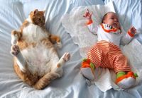 Vauva ja kissa