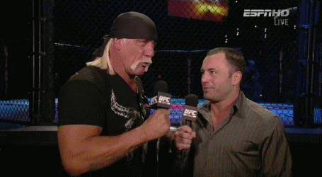 Hulk Hogan kertoo seksivideostaan yksityiskohdat - 5/5 koska hulk hogan