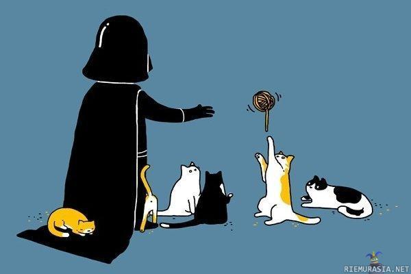 Darth Vaderkin tykkää kissoista