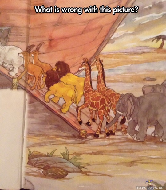 Eläimet matkalla Nooan Arkkiin - Mutta joku tässä kuvassa ei täsmää. Etsi virhe.