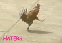 Haters gonna hate cock
