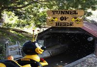 tunnel of bees