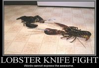 Lobster knife fight