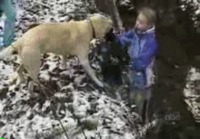 koira ja lapsi ylittää ojan