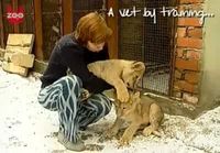 Woman Lives With Lions