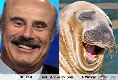 Walrus & Dr. Phil