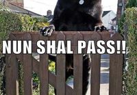 None shall pass!