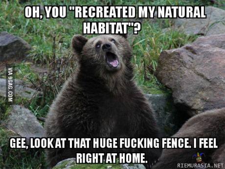 Sarkastinen karhu. - Aivan luonnollinen ympäristö karhulle.