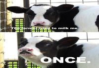 Try to milk me