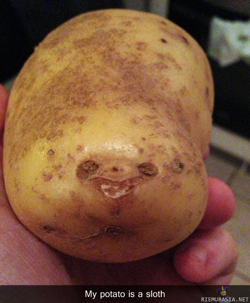Potato - Sitä kaikkien rakastamaa laiskiaismediaa! #jaxuhali
