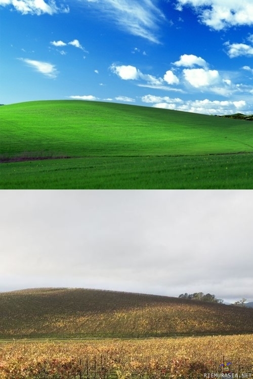 Bliss - The photo at top is the most-viewed image in the world, the ?Bliss? wallpaper that came with Windows XP.  The photo at bottom is what the same spot looks like today.