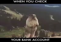 Fiilis kun katsot pankkitiliäsi