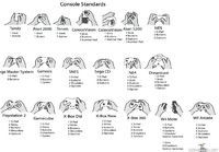 Evolution Of Game Controllers