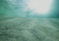 Underwater base jumping