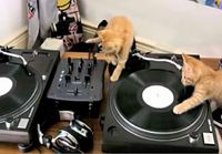 DJ Kissat