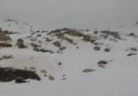 Accidental snowkite liftoff in Algeria