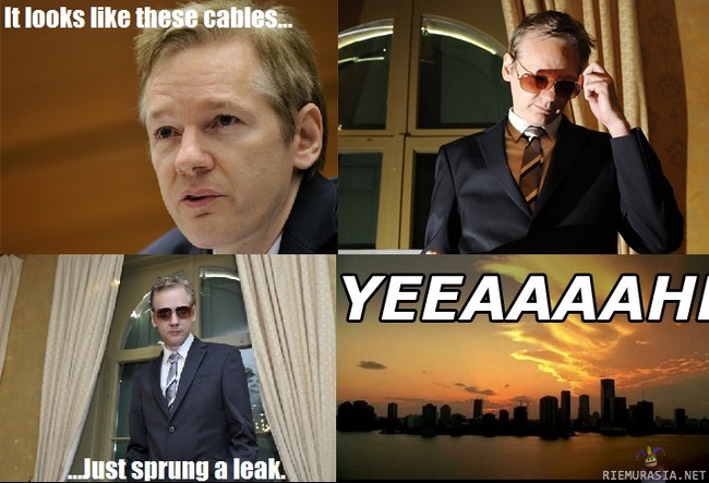 Horatio - wikileaks