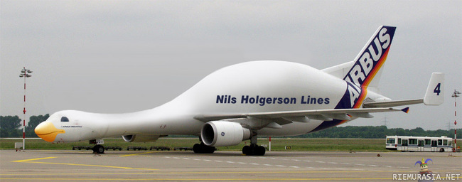 Nils holgerson airlines