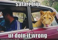 Safari trip