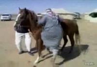 Arabi Vs. Hevonen