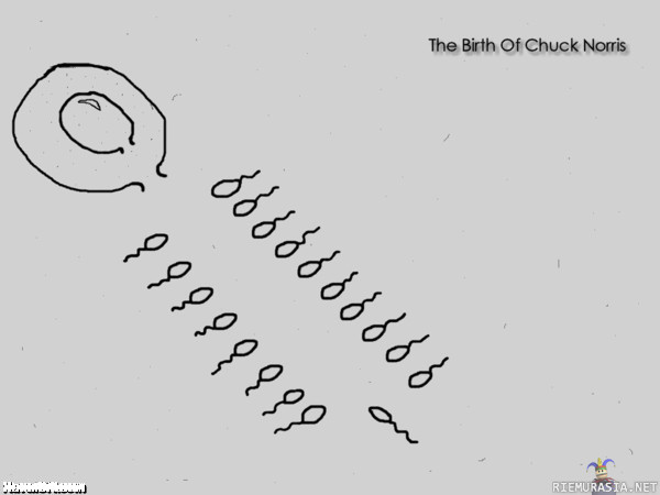 Kuinka Chuck Norris syntyi?