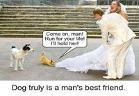 Man\'s best friend