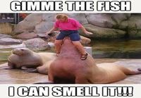 Kala tuoksuu