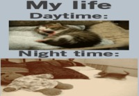 Päivä ja yö