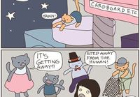 Kitten nightmares