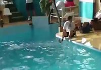 Normi päivä venäläisessä delfinaariossa