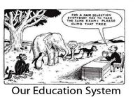 Koulutusjärjestelmä