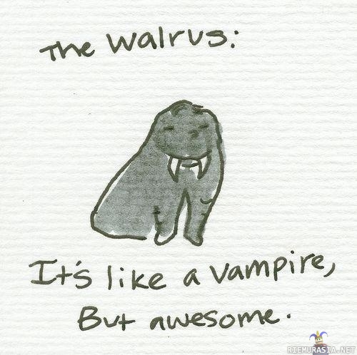 The walrus