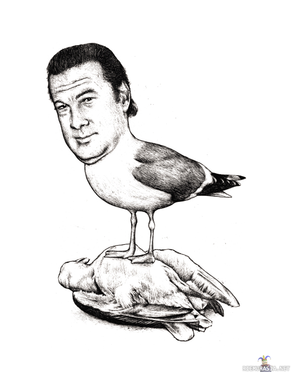 Steven Seagull