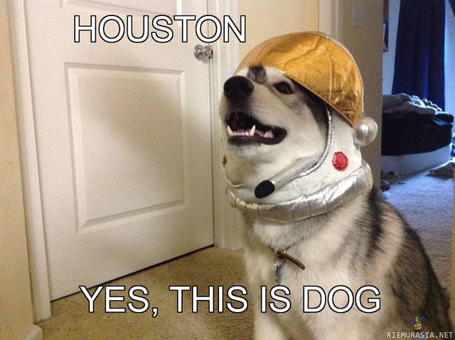Houston..