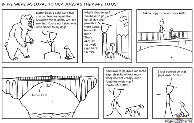 Lojaalisuus - Mitä jos ihmiset olisivat yhtä lojaaleita koirilleen kuin ne meille