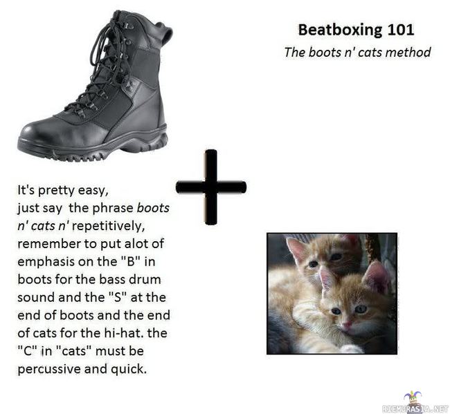 Opi beatboxaamaan - boots &#039;n cats &#039;n